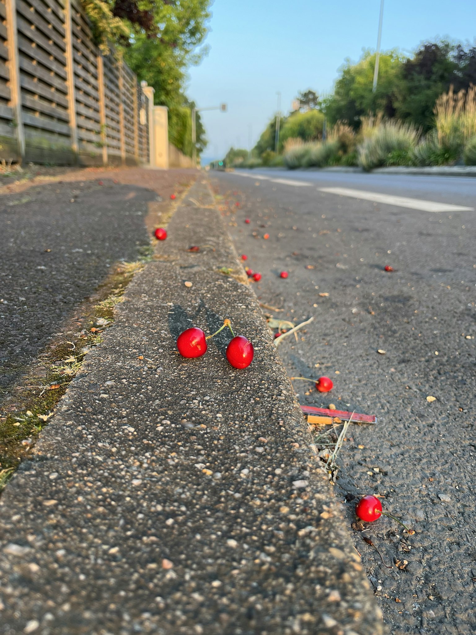 Cherries on the street